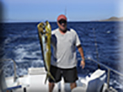 Marlin fishing cabos, Ursulas Fishing Fleets, Ursulas Fishing, Marlin fishing Cabo San Lucas, fishing chartes cabo