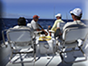 Marlin fishing cabos, Ursulas Fishing Fleets, Ursulas Fishing, Marlin fishing Cabo San Lucas, fishing chartes cabo