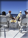 Marlin fishing cabos, Ursulas Fishing Fleets, Ursulas Fishing, Marlin fishing Cabo San Lucas, fishing chartes cabo