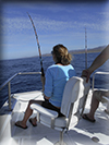 Marlin fishing cabos, Ursulas Fishing Fleets, Ursulas Fishing, Marlin fishing Cabo San Lucas, fishing chartes cabo