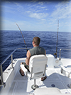 Marlin fishing cabos, Ursulas Fishing Fleets, Ursulas Fishing, Marlin fishing Cabo San Lucas, fishing chartes cabo