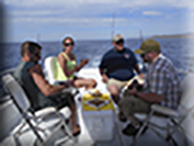 Marlin fishing cabos, Ursulas Fishing Fleets, Ursulas Fishing, Marlin fishing Cabo San Lucas, fishing chartes cabo