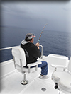 Marlin fishing cabo San Lucas, Ursulas Fishing Flees, Ursulas Fishing, Marlin fishing Cabo San Lucas