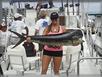 Marlin fishing cabos, Ursulas Fishing Fleets, Ursulas Fishing, Marlin fishing Cabo San Lucas, fishing chartes cabo