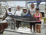 Marlin fishing cabos, Ursulas Fishing Fleets, Ursulas Fishing, Marlin fishing Cabo San Lucas, fishing chartes cabo